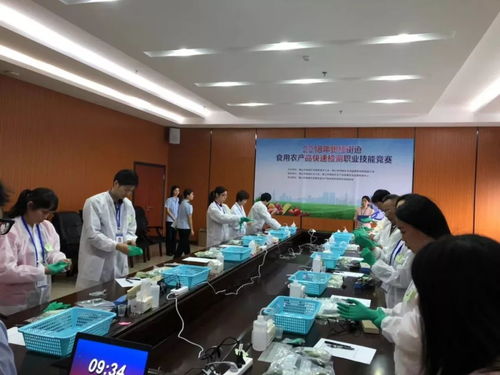 拼的就是實力——張槎街道食用農(nóng)產(chǎn)品快速檢測職業(yè)技能競賽紀(jì)實